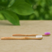 Eco-Friendly Natural Bamboo Toothbrush with Medium Bristles (2 Pc) - dailyneed.life