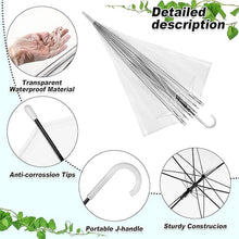 Premium Transparent Dome Umbrella with Curved Handle (1 Pc) - dailyneed.life