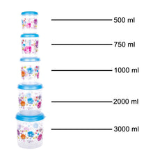 Plastic Transparent Container Air Tight Dabba Set (3000ml, 2000ml, 1000ml, 750ml, 500ml) - dailyneed.life