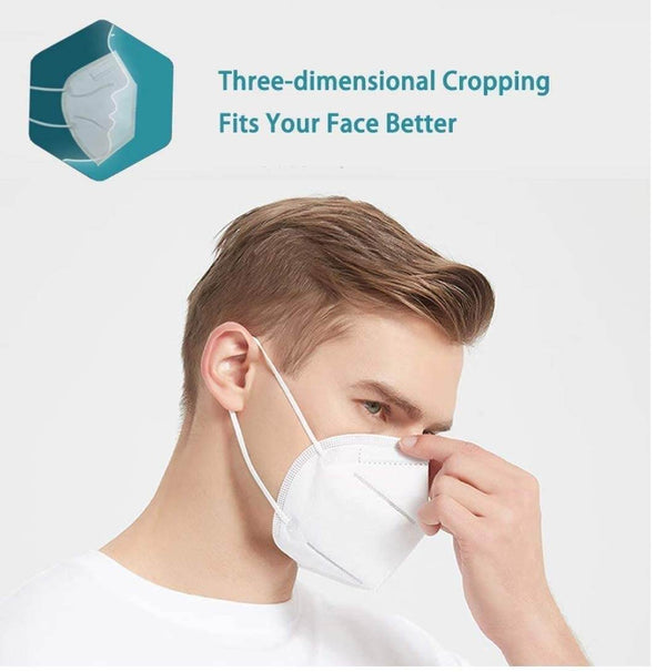 N95 Anti Pollution / Virus Face Mask (10 Pcs Set) - dailyneed.life