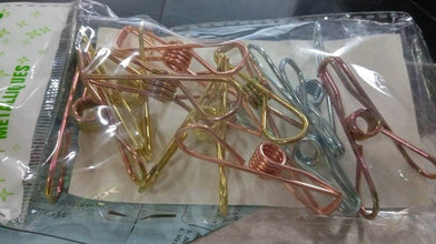 Stainless Steel Multipurpose Sturdy Clothes Hanging Clips - dailyneed.life