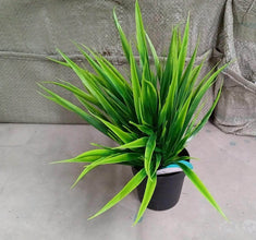 Artificial Potted Plant with Pot - dailyneed.life