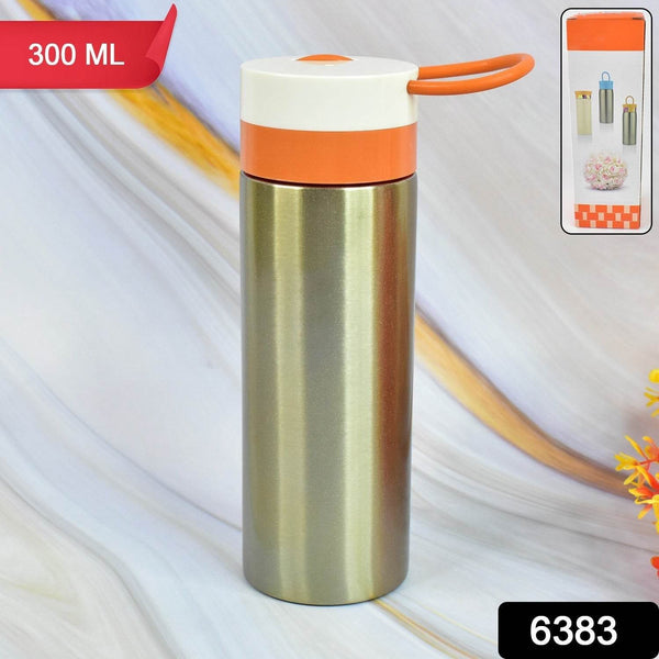 Stainless Steel Vacuum Insulated Water Bottle (300ML Approx) - dailyneed.life