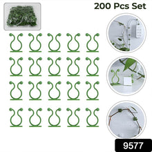 Plant Climbing Wall Fixture Clip Self-Adhesive Hook (200 Pcs Set) - dailyneed.life