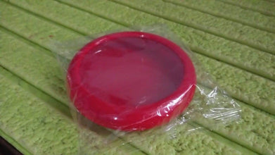 Vegetable Container Premium Fruits Saver Keeper for Kitchen Organization - dailyneed.life