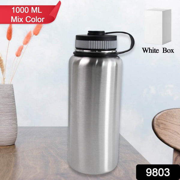 Stainless Steel Double Wall Vacuum-Insulated Drink Water Bottle (1000 ML / Mix Color) - dailyneed.life