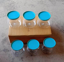 Matka Shaped Jar with Air Tight & Leak Proof Lid (Multicolour) (Set of 6) (900Ml) - dailyneed.life