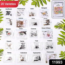 Seeds 20 Varieties of Flower Seeds Combo (1 Pkt / 20 Varieties) - dailyneed.life