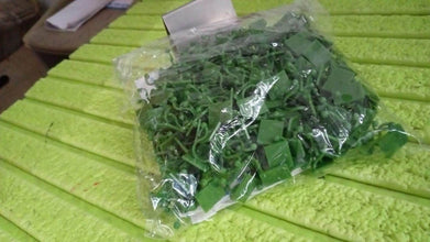 Plant Climbing Wall Fixture Clip Self-Adhesive Hook (200 Pcs Set) - dailyneed.life