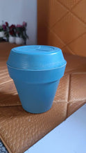 Heavy Plastic Flower pots With Tray (1 Pc) - dailyneed.life