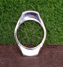 Stainless Steel Apple Cutter / Slicer with 8 Blades and Handle - dailyneed.life