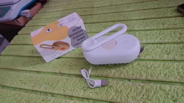 Electric Spray Handle Massage Brush, Hair Removal Brush Steam (1 Pc) - dailyneed.life
