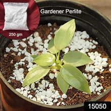 Paradise Perlite for Hydroponics & Horticulture Terrace Gardening Soil Conditioner (250 GM) - dailyneed.life
