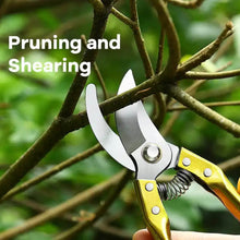 Gardening Tools - Garden Shears Pruners Scissor (1 Pc) - dailyneed.life