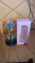 LED-Powered Eternal Rose in plastic Dome (1 Pc / Battery not Included) - dailyneed.life