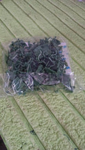 Plant Climbing Wall Fixture Clip Self-Adhesive Hook (100 Pcs Set) - dailyneed.life