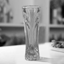 Glass Flower Pot, Crystal Clear Vase for Living - dailyneed.life