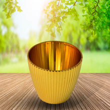 Plastic Flower Valencia (Pot) Home and Outdoor (1 Pc) - dailyneed.life