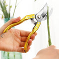 Gardening Tools - Garden Shears Pruners Scissor (1 Pc) - dailyneed.life