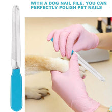 Pet Nail Clipper and Nail File Grooming Kit for Dogs and Cats (Mix Color / 2 Pc) - dailyneed.life