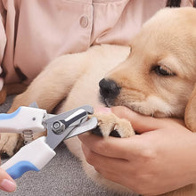 Pet Nail Clipper and Nail File Grooming Kit for Dogs and Cats (Mix Color / 2 Pc) - dailyneed.life