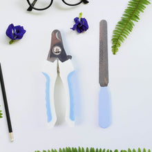 Pet Nail Clipper and Nail File Grooming Kit for Dogs and Cats (Mix Color / 2 Pc) - dailyneed.life