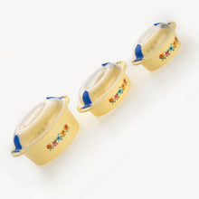 Hot N Fresh Insulated Plastic Casserole Gift Set (3 Pieces) - dailyneed.life