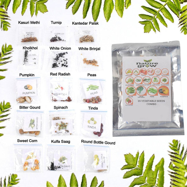 15 Varieties of Vegetable Seeds Combo (1 Pkt. / 15 Varieties) - dailyneed.life