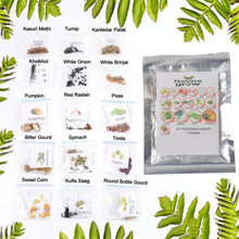 15 Varieties of Vegetable Seeds Combo (1 Pkt. / 15 Varieties) - dailyneed.life