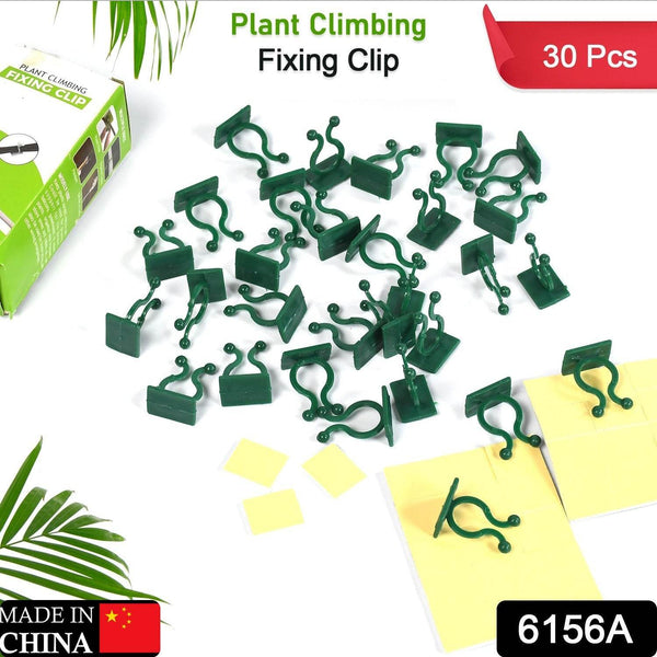 30pcs wall Plant Climbing Clip widely used for holding plants and poultry purposes and all (Box/30 Pcs Set) - dailyneed.life