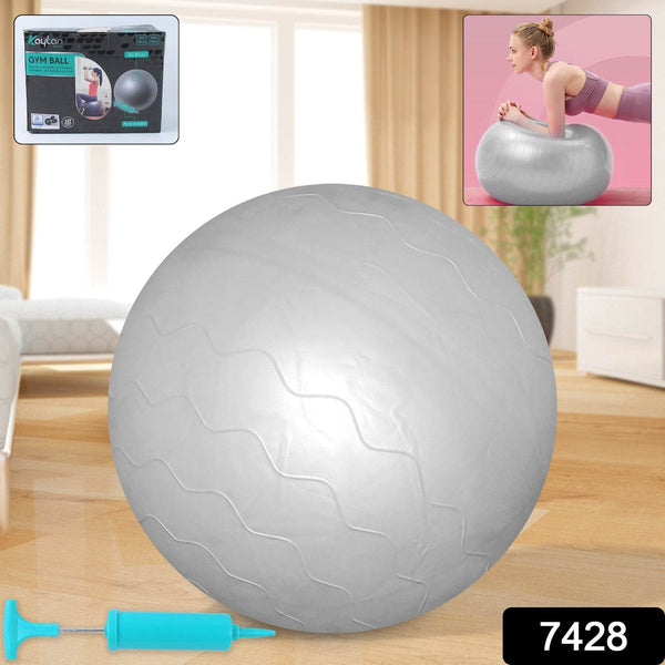 Heavy Duty Gym Ball Non-Slip Stability Ball with Foot Pump for Total Body Fitness - dailyneed.life
